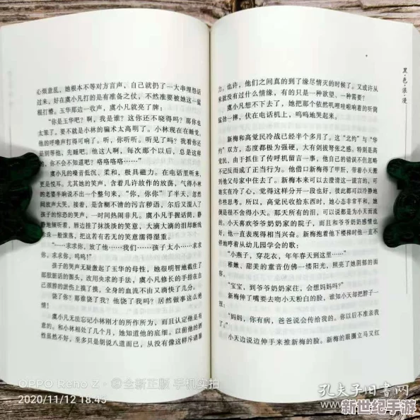 裕妇放湯很浪的小说，情节跌宕起伏，让人欲罢不能，真是一本好书！