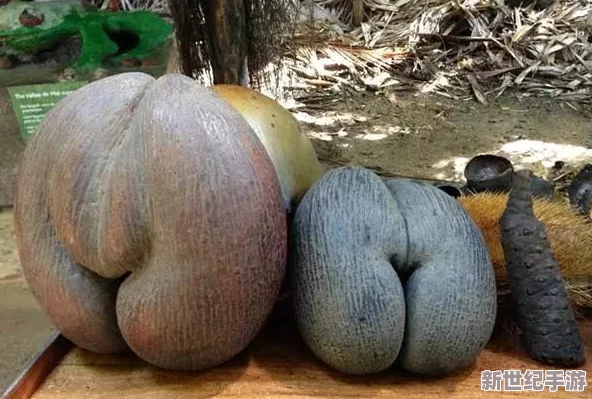 大粗鳮巴r，这真是个奇特的名字，让人忍不住想了解更多背后的故事