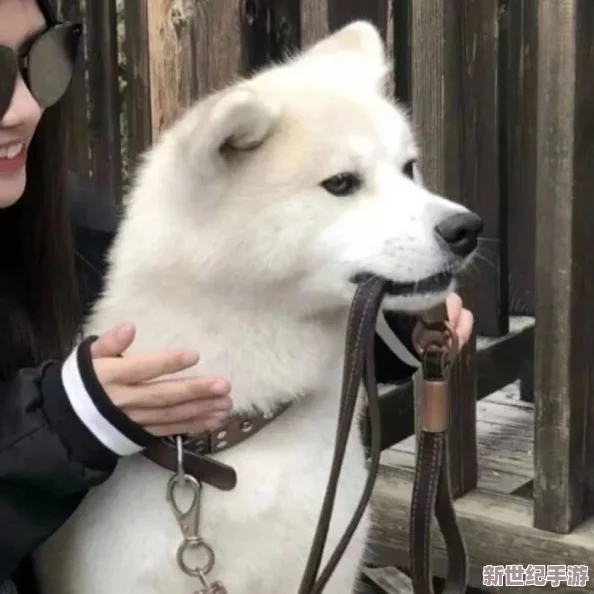 在生活的喧嚣中，如何用‘嗯啊哈不要’找到内心的宁静与真实自我？