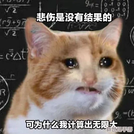4虎换哪个网名了？我觉得他们的选择总是让人意外，期待新风格！