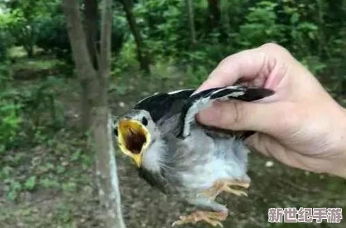 男人ji进入女人鸡免费视频网友认为这种内容不应被传播应该加强对网络色情内容的监管保护青少年免受不良影响